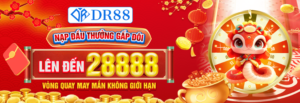 Vi sao nen choi xoc dia tai DR88 300x103 1
