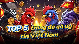 top 5 nhà cái đá gà thomo