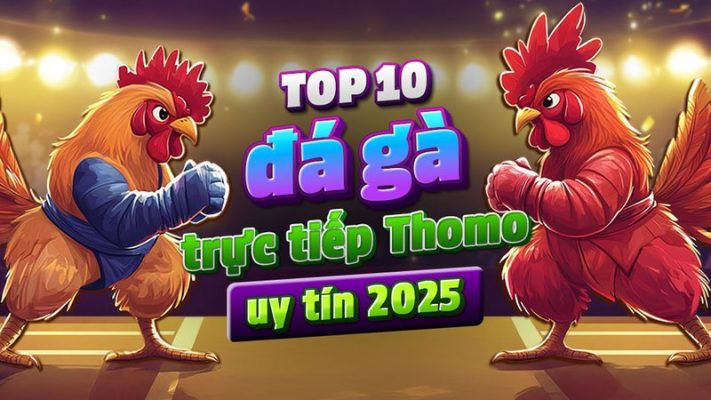 DR88 1 trong trang web top 10 về đá gà thomo